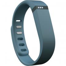 fitbit flex slate